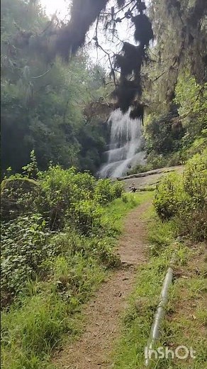 Bear Shola Waterfall/ Kodaikanal/ near Kodaikanal Lake/Hidden gem and must visit at Kodaikanal
