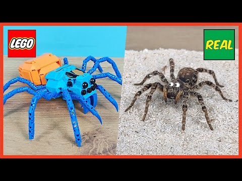 LEGO araña tarántula vs TARÁNTULA REAL!