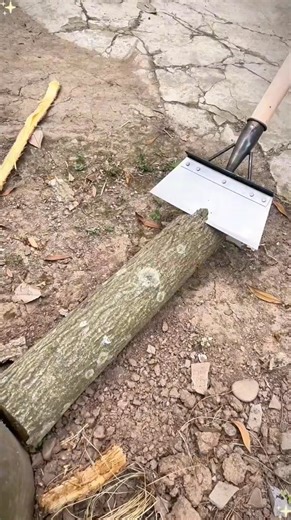 ✨ Transform Your Cleaning Game with the Flat Blade Deep Cleaning Tool! ✨ Tackle tough grime, paint spots, rust, moss, debris & more with this powerful all-purpose scraper — built for deep, effortless cleaning! 💪🧹🛠️ 👉 Grab it here: https://theviralsearch.in/products/flat-blade-deep-cleaning-tool ✅ Strong, premium flat blade ✅ Scrapes off dirt, gunk & buildup fast ✅ Perfect for floors, patios, walls & hard surfaces ✅ Durable & easy to use — no more back pain! Whether you’re sprucing up the hom