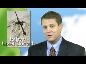 PhytoZon - American Dream Nutrition