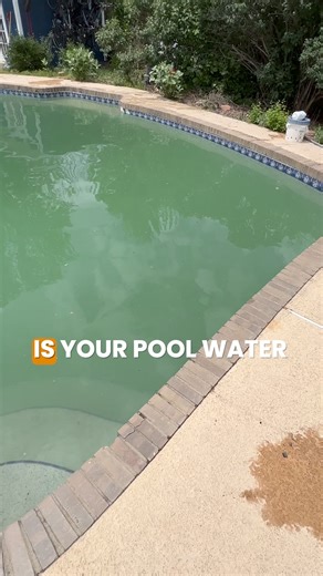 Is your pool water green, even after shocking? Adding a double or triple dose of shock is usually enough to kill algae in the water. But here are two common reasons why your pool is still green after shocking: | Swim University