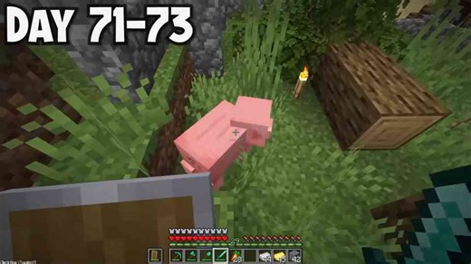 100 days but the planet curves and my builds hate me for it