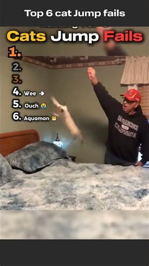 Top 5 cat fails #comédia #epicfails #funnyfails #humor #failcompilation #funnyvideo #fails #top5