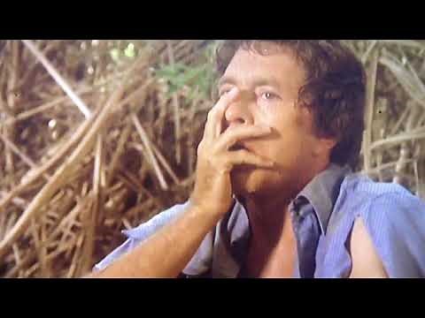 The Incredible Hulk Death in the Family David comes back from transformation scene