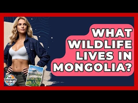 What Wildlife Lives In Mongolia? - The Geography Atlas