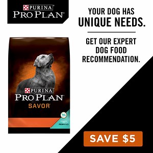 17K views · 39 shares | Purina Pro Plan on Reels | Facebook