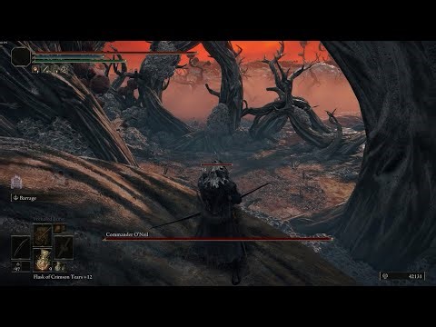 Commander O'Neil above tree cheese