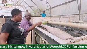 After many years of residing and working in Japan 🇯🇵 and South Africa, here's why he has returned to Ghana 🇬🇭 Full video link 🔗 https://youtu.be/HIR5NUICcgU?si=jS-S8eE0wMCJ_zL- | The Ghanaian Farmer