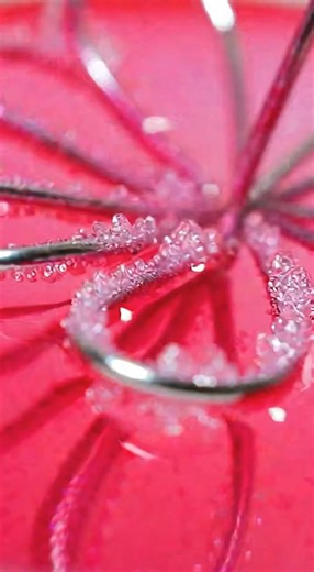 DIY RUBY CRYSTALS ❤️💎 Ingredients: Wire flower (similar to the one shown) Borax powder (laundry aisle) Very hot water (not boiling) Glass jar or heat-safe bowl String or fishing line Pencil or skewer Spoon Food coloring: pink and red Paper towels (for drying) Step-by-Step: 1. Prepare the Flower: Gently adjust the wire petals so they are evenly spaced and fully open. Check that no sharp wire ends are exposed. 2. Suspend the Flower: Tie a piece of string securely to the stem or top of the wire fl