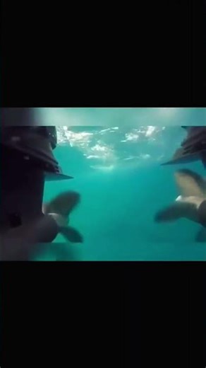 The Bubble Problem Destroying Propellers #cavitation #marineengineering #engineering