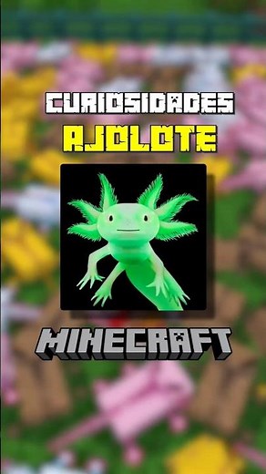 🐉 Los 6 TIPOS de AJOLOTES en MINECRAFT #minecraft