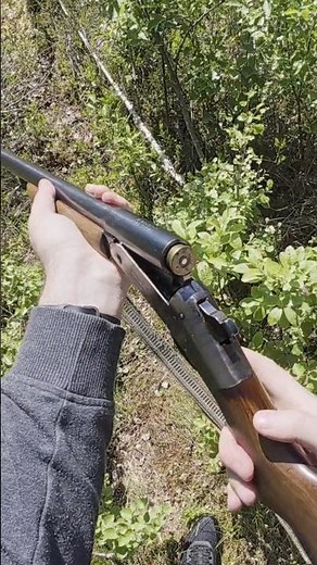 Shooting 12 gauge H&R Topper Model 158 #shorts #short