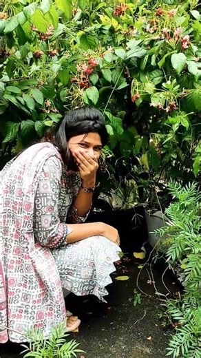 লজ্জাবতী গাছের আশ্চর্য গুণাগুণ 🌿 | ঘরে লাগানোর সহজ উপায় ও যত্ন Touch Me Not Plant Care Tips #shorts