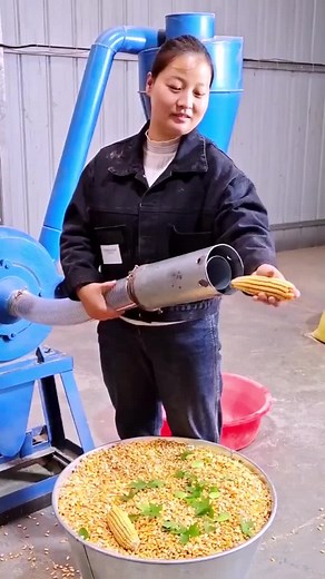 Corn De-Husking Machine Operation Explained