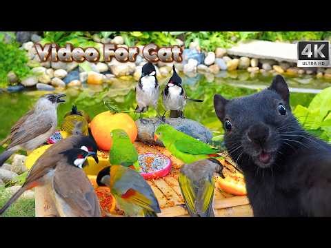 Cat TV for Cats 😺 Backyard Birds & Calm Garden Sounds 🐦🌿 | 4 HOURS 4K HDR