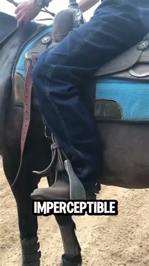 Because spurs are used