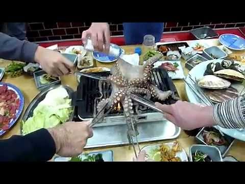 Octopus grilled alive in Japan