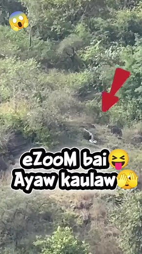 bahala nadaw nang baggyyoow dihaa .basta Kay diri radaw sila mag hoya. 📍ezoom lang aron makita Bai. | Ernest Jaro Jr.