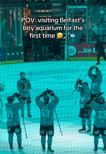 Experience the Belfast Giants at SSE Arena