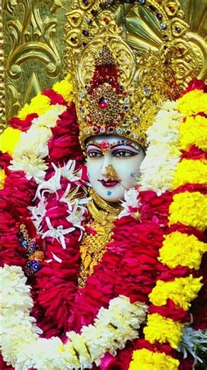 meldi mata status//#newvideo#meldi#rajameldi