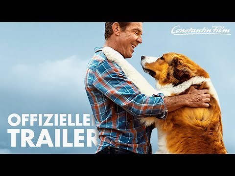 BAILEY - Ein Hund kehrt zurück I Offizieller Trailer