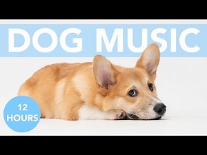 Dog Sleep Music: 12 HOURS of Calming Sleep Lullabies for Dogs!