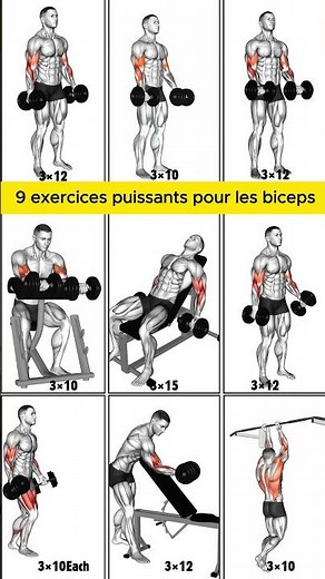 Gros biceps : 9 exercices avec haltères ultra efficaces 💪 #biceps #bicepshaltères #exercicesbiceps