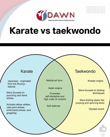 Karate vs Taekwondo Surprising Facts You Didn't Know!