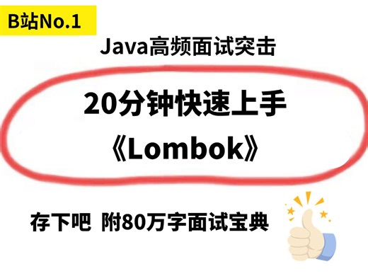 20分钟快速上手Lombok！附80万字面试宝典