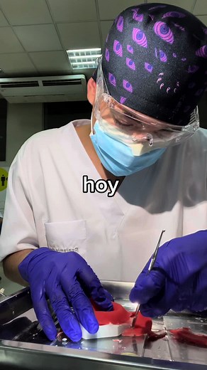 ig: puxi.zz | 🦷 #odontologia #chile #dentista #parati #universidad