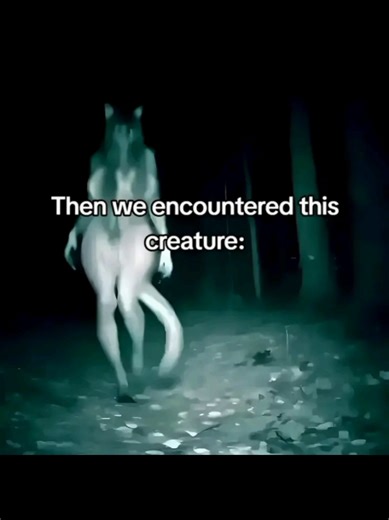 Exploring SCP 1471 and Jujutsu Kaisen Connections