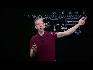 Mutations and Translations