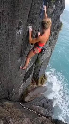 Real cctv camera Wildlife #wildlife #animals | Wildlife Animals America