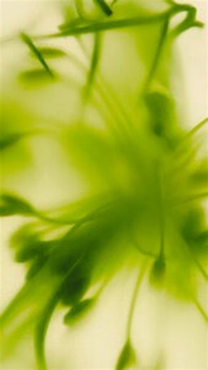 Evolv GLP-1 on Instagram: "When access becomes a barrier, support shouldn’t disappear. Evolv offers a GLP-1–inspired approach that’s available to everyone — without hoops to jump through. Click the link in our bio to find out more."