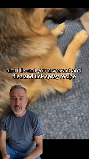 Btw I linked the EXACT collagen I recommend in my bio. If you still CAN’T find it - comment “PRODUCT” and I’ll personally DM you with the link! 😇🔗 ( Just make sure you’re following me to receive the message 💌 ) 🔗 https://amzn.to/435TKgH ✅ ( Simply copy the link and open in your browser 🌐 ) #dog #dogowner #vet #warning #food #consuming #health #secret #usa | Furry Wellness