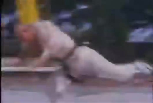 19K views · 583 reactions | SHAOLIN VS LAMA | Hanafi Shawbrother | Facebook