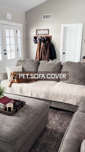 Pet Sofa Covers That Enhance Your Home Aesthetic