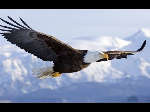 1012 25 I Am Nothing, But I'm In His Hands |Bro Paul Ojar