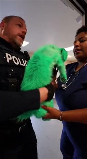 This Woman Painted Her Dog!