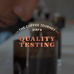 Quality testing is the final step of the coffee journey. A skilled...