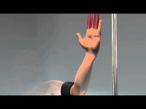 DigiGrip Traction System for Wrist, Hand