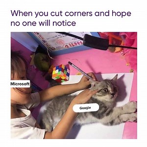 12K views · 98 reactions |  | Dodo | Facebook