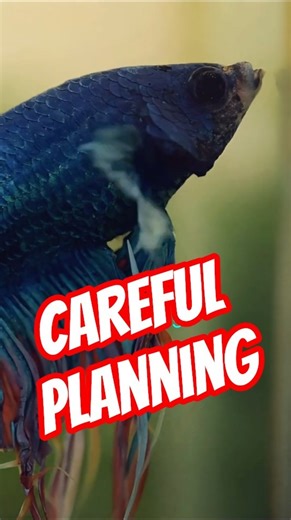 Can Betta Fish Have Tank Mates?🐠