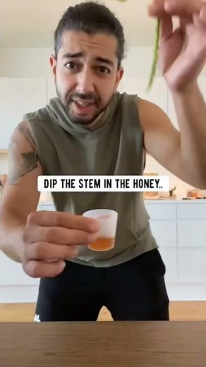 How to Clone Plants with Honey | creative explained