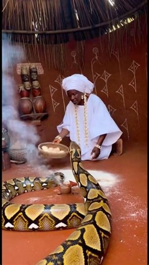 PRIESTESS OF IDEMMILI FEEDING IDEMMILI PYTHON #shorts #youtubeshorts #trendingshorts #viral