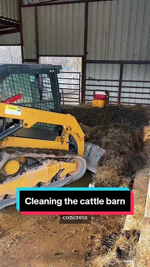 Cleaning the Cattle Barn for Calving Season