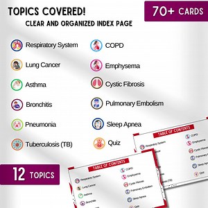 Respiratory System Flashcards | Respiratory Therapy Notes | Nursing Notes | Respiratory Notes | Study Guide | the Nursing Resource - Etsy