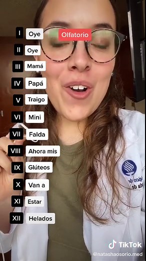 Understanding the Origin of Cranial Nerves | Neuro Tips for Medical Students