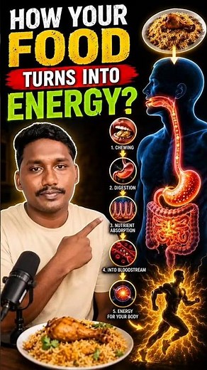 How your food turns into energy? #youtubevideo #shorts #shortsfeed #viral