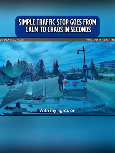 1.3K views · 6 comments | Police simple traffic stop goes from calm to chaos in seconds#police #cops #bodycam #us #fyp | Crime Stopper 1 | Facebook